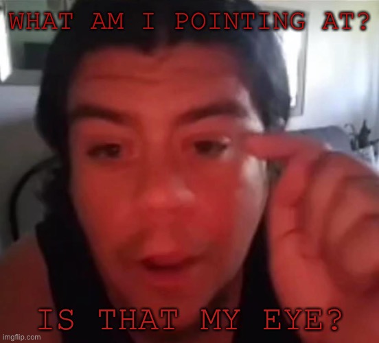 Is that my eye | WHAT AM I POINTING AT? IS THAT MY EYE? | image tagged in pointing | made w/ Imgflip meme maker