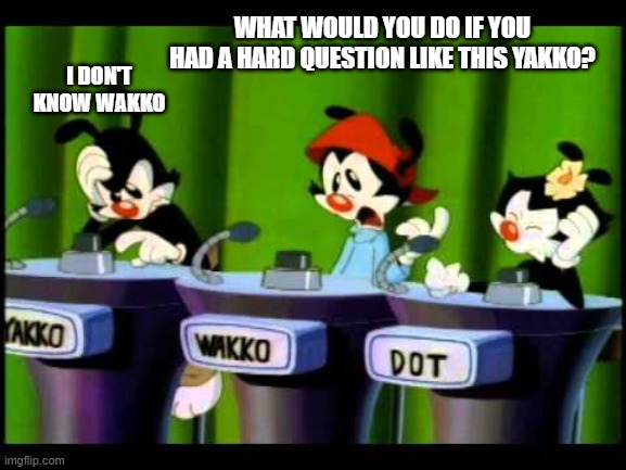 Animaniacs | I DON'T KNOW WAKKO; WHAT WOULD YOU DO IF YOU HAD A HARD QUESTION LIKE THIS YAKKO? | image tagged in animaniacs | made w/ Imgflip meme maker