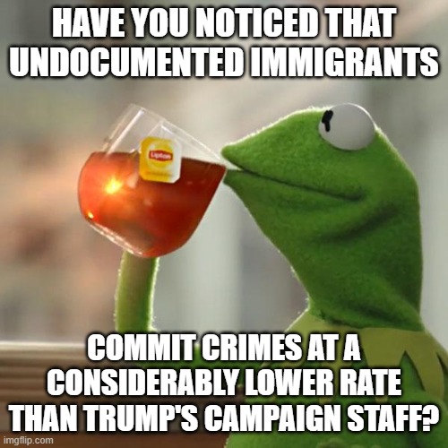 But That's None Of My Business | HAVE YOU NOTICED THAT UNDOCUMENTED IMMIGRANTS; COMMIT CRIMES AT A CONSIDERABLY LOWER RATE THAN TRUMP'S CAMPAIGN STAFF? | image tagged in memes,but that's none of my business,kermit the frog | made w/ Imgflip meme maker