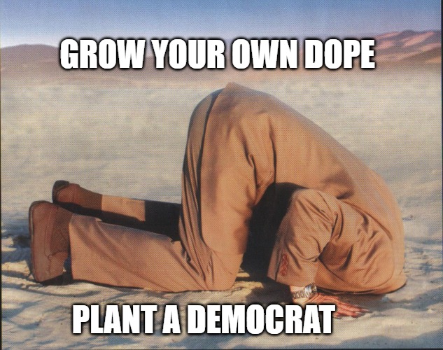 Grow dope | GROW YOUR OWN DOPE; PLANT A DEMOCRAT | image tagged in democrat,dope,plant | made w/ Imgflip meme maker