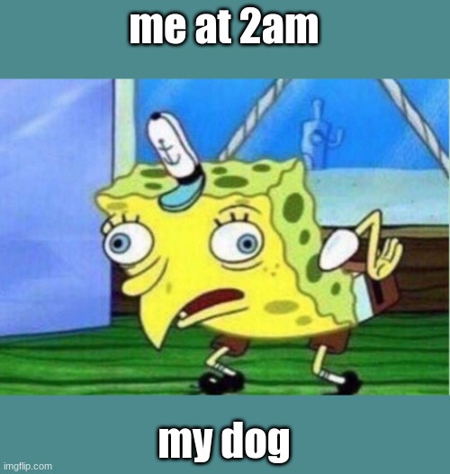 Mocking Spongebob Meme | me at 2am; my dog | image tagged in memes,mocking spongebob | made w/ Imgflip meme maker