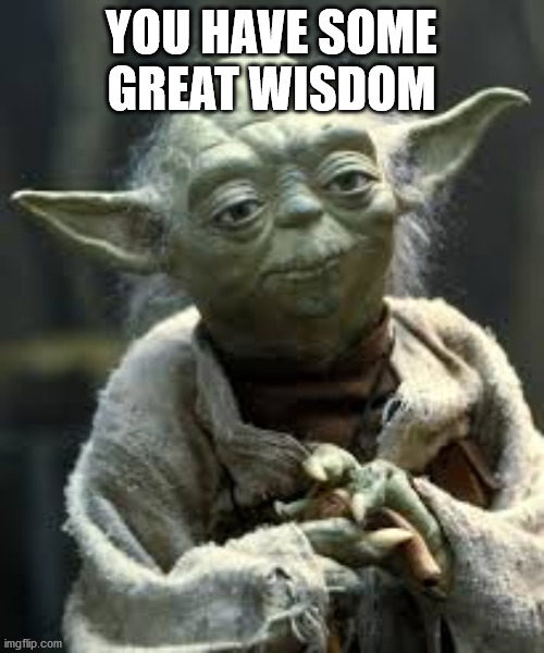 jodameme | YOU HAVE SOME GREAT WISDOM | image tagged in jodameme | made w/ Imgflip meme maker