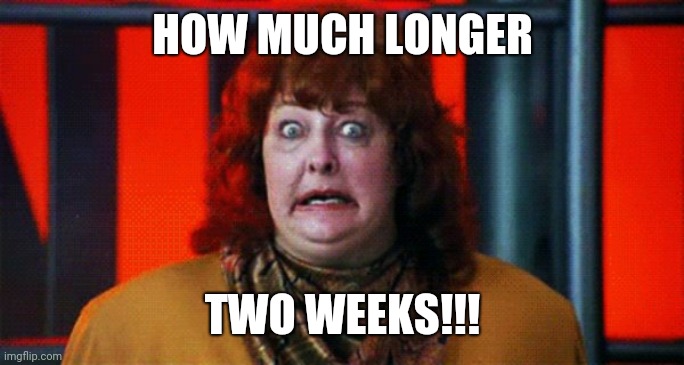 Two Weeks | HOW MUCH LONGER; TWO WEEKS!!! | image tagged in two weeks | made w/ Imgflip meme maker