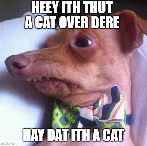 Tuna the dog (Phteven) |  HEEY ITH THUT A CAT OVER DERE; HAY DAT ITH A CAT | image tagged in tuna the dog phteven | made w/ Imgflip meme maker