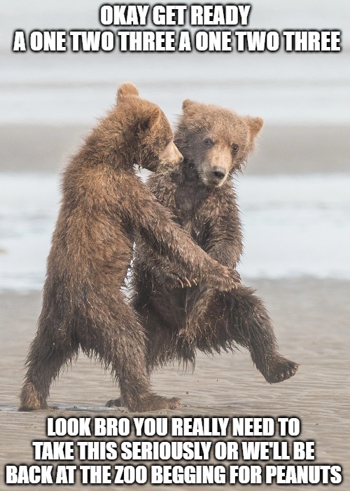 No one wants to go back to the lockdown | OKAY GET READY
 A ONE TWO THREE A ONE TWO THREE; LOOK BRO YOU REALLY NEED TO TAKE THIS SERIOUSLY OR WE'LL BE BACK AT THE ZOO BEGGING FOR PEANUTS | image tagged in fun,bears,dancing,funny,memes,2020 | made w/ Imgflip meme maker