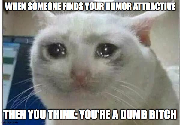 crying cat | WHEN SOMEONE FINDS YOUR HUMOR ATTRACTIVE; THEN YOU THINK: YOU'RE A DUMB BITCH | image tagged in crying cat | made w/ Imgflip meme maker