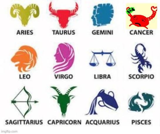 Zodiac Signs | image tagged in zodiac signs,memes | made w/ Imgflip meme maker