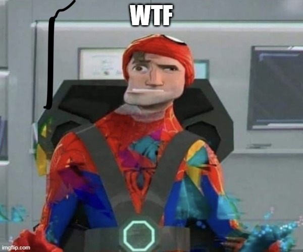 Spiderman Spider Verse Glitchy Peter | WTF | image tagged in spiderman spider verse glitchy peter | made w/ Imgflip meme maker