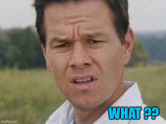 mark whalberg | WHAT ?? | image tagged in mark whalberg | made w/ Imgflip meme maker