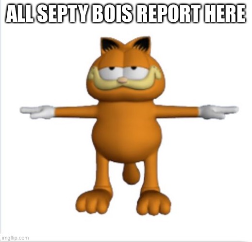 By Septy I mean born in September | ALL SEPTY BOIS REPORT HERE | image tagged in garfield t-pose | made w/ Imgflip meme maker