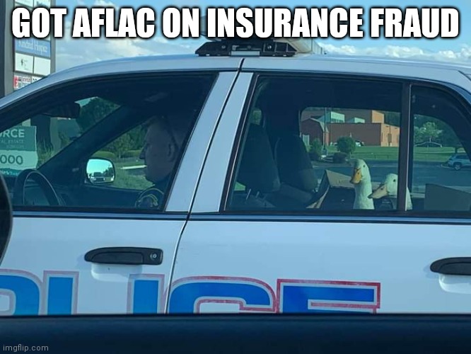 Insurance Cover Bail? | GOT AFLAC ON INSURANCE FRAUD | image tagged in insurance,aflac,police,arrested | made w/ Imgflip meme maker
