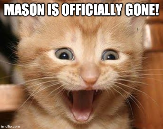 Excited Cat Meme | MASON IS OFFICIALLY GONE! | image tagged in memes,excited cat | made w/ Imgflip meme maker