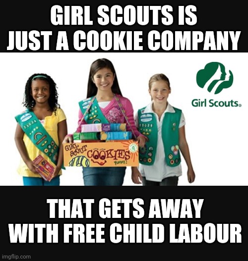 Girl Scouts | GIRL SCOUTS IS JUST A COOKIE COMPANY; THAT GETS AWAY WITH FREE CHILD LABOUR | image tagged in child labour girl scouts | made w/ Imgflip meme maker