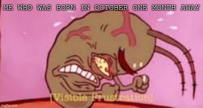 Visible Frustration | ME WHO WAS BORN IN OCTOBER ONE MONTH AWAY | image tagged in visible frustration | made w/ Imgflip meme maker