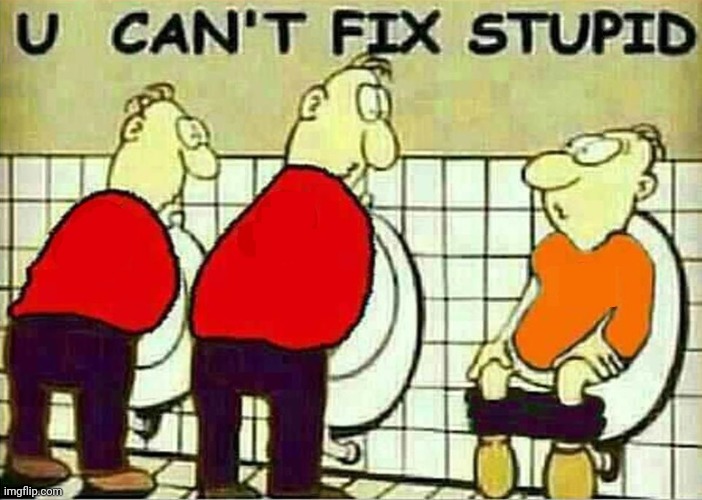 U Can't Fix Stupid | image tagged in u can't fix stupid | made w/ Imgflip meme maker