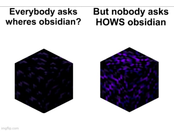 This is a repost but I thought it was funny | image tagged in minecraft,funny memes,fun | made w/ Imgflip meme maker