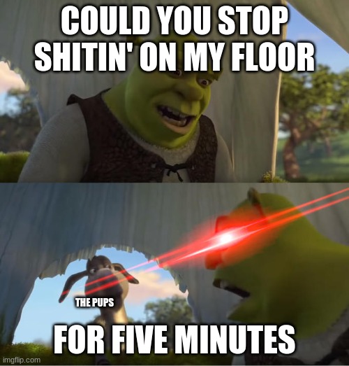 yahoo | COULD YOU STOP SHITIN' ON MY FLOOR; FOR FIVE MINUTES; THE PUPS | image tagged in shrek for five minutes | made w/ Imgflip meme maker