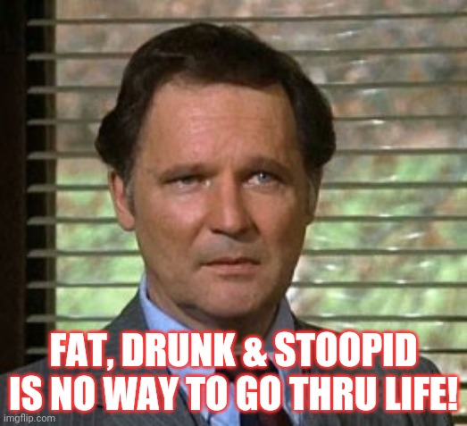 Fat drunk and stupid | FAT, DRUNK & STOOPID IS NO WAY TO GO THRU LIFE! | image tagged in fat drunk and stupid | made w/ Imgflip meme maker