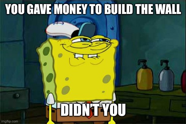 Predictable AF how that turned out | YOU GAVE MONEY TO BUILD THE WALL; DIDN’T YOU | image tagged in memes,don't you squidward | made w/ Imgflip meme maker
