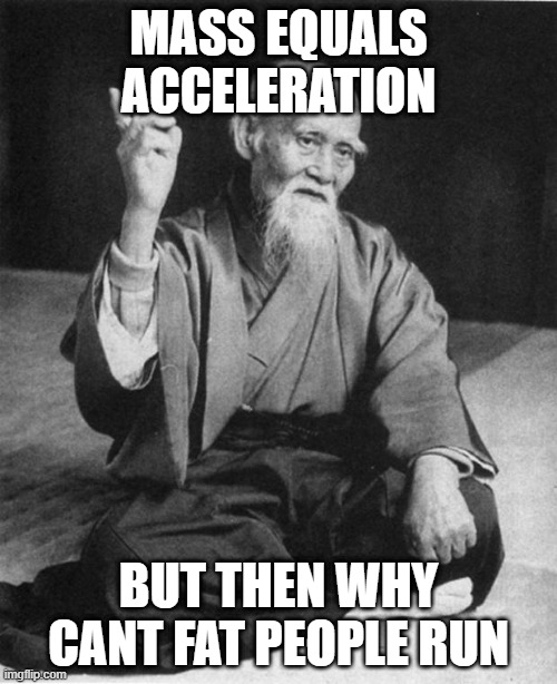 Wise Master | MASS EQUALS ACCELERATION; BUT THEN WHY CANT FAT PEOPLE RUN | image tagged in wise master | made w/ Imgflip meme maker