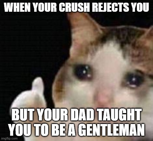 Approved crying cat | WHEN YOUR CRUSH REJECTS YOU; BUT YOUR DAD TAUGHT YOU TO BE A GENTLEMAN | image tagged in approved crying cat | made w/ Imgflip meme maker