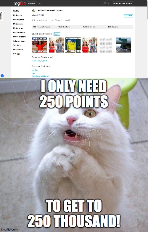 Can I have some more upvotes please? | I ONLY NEED 250 POINTS; TO GET TO 250 THOUSAND! | image tagged in begging cat,memes,upvote begging | made w/ Imgflip meme maker