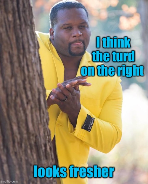 Anthony Adams Rubbing Hands | I think the turd on the right looks fresher | image tagged in anthony adams rubbing hands | made w/ Imgflip meme maker