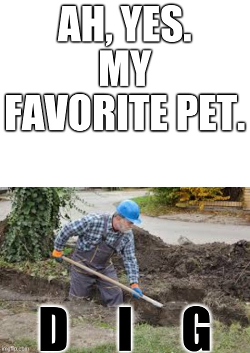 AH, YES. MY FAVORITE PET. D     I     G | image tagged in blank white template | made w/ Imgflip meme maker