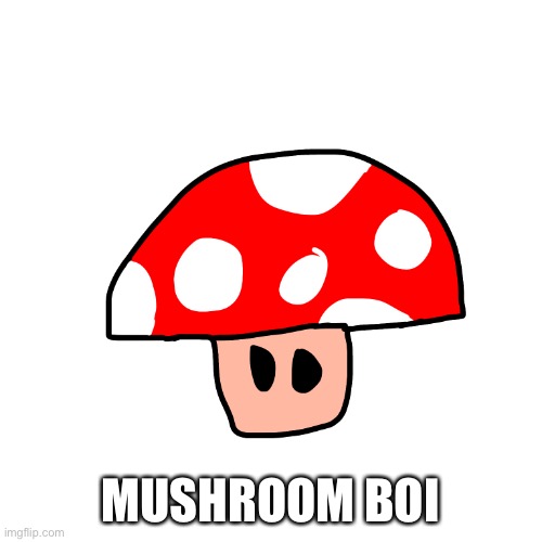 I’m just making up dumbshit | MUSHROOM BOI | made w/ Imgflip meme maker