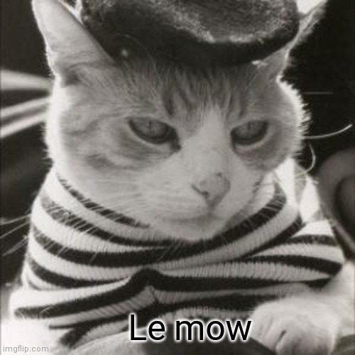 Le mow | made w/ Imgflip meme maker