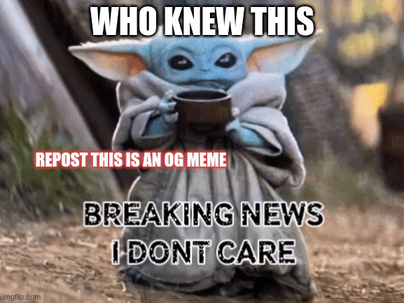 og meme plz upvote and repost for all dem baby yoda fans |  WHO KNEW THIS; REPOST THIS IS AN OG MEME | image tagged in i dont care,baby yoda | made w/ Imgflip meme maker