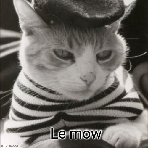 This is a title, you cant change my mind. | image tagged in le mow | made w/ Imgflip meme maker