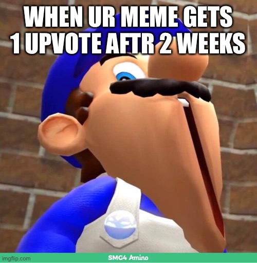 smg4's face | WHEN UR MEME GETS 1 UPVOTE AFTR 2 WEEKS | image tagged in smg4's face | made w/ Imgflip meme maker
