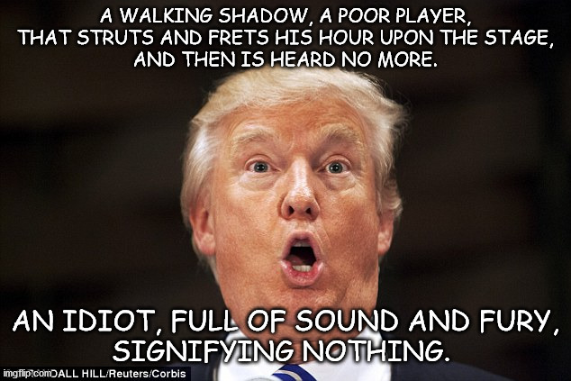 Trump as described by Shakespeare | A WALKING SHADOW, A POOR PLAYER,
THAT STRUTS AND FRETS HIS HOUR UPON THE STAGE,
AND THEN IS HEARD NO MORE. AN IDIOT, FULL OF SOUND AND FURY,
SIGNIFYING NOTHING. | image tagged in trump stupid face | made w/ Imgflip meme maker
