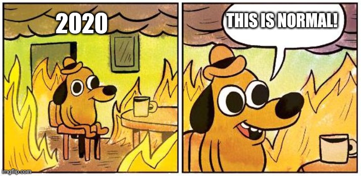 This is Fine (Blank) | 2020 THIS IS NORMAL! | image tagged in this is fine blank | made w/ Imgflip meme maker