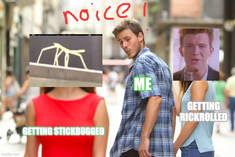 Stickbug me for free upvotes! | ME; GETTING RICKROLLED; GETTING STICKBUGGED | image tagged in memes,distracted boyfriend,get stick bugged lol,stick,bug | made w/ Imgflip meme maker