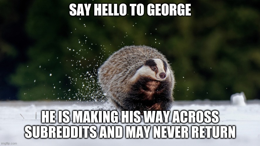 George the Badger | SAY HELLO TO GEORGE; HE IS MAKING HIS WAY ACROSS SUBREDDITS AND MAY NEVER RETURN | image tagged in reddit | made w/ Imgflip meme maker