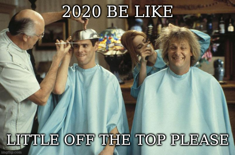 dumb haircut | 2020 BE LIKE LITTLE OFF THE TOP PLEASE | image tagged in dumb haircut | made w/ Imgflip meme maker