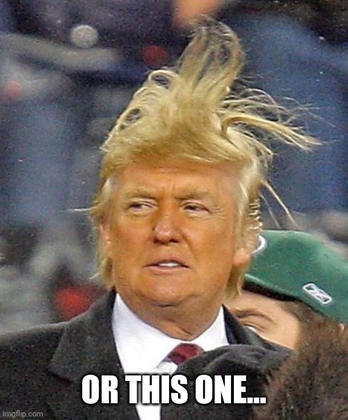 Donald Trumph hair | OR THIS ONE... | image tagged in donald trumph hair | made w/ Imgflip meme maker