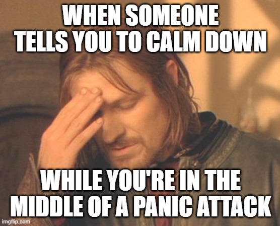 Frustrated Boromir Meme | WHEN SOMEONE TELLS YOU TO CALM DOWN; WHILE YOU'RE IN THE MIDDLE OF A PANIC ATTACK | image tagged in memes,frustrated boromir | made w/ Imgflip meme maker