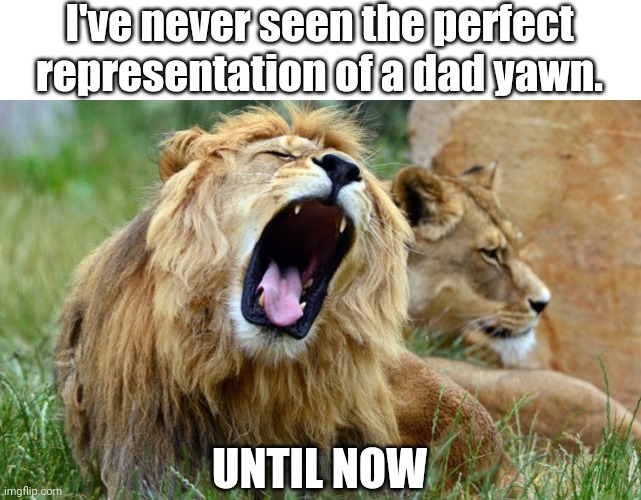 Yawns for dads | I've never seen the perfect representation of a dad yawn. UNTIL NOW | image tagged in yawning | made w/ Imgflip meme maker