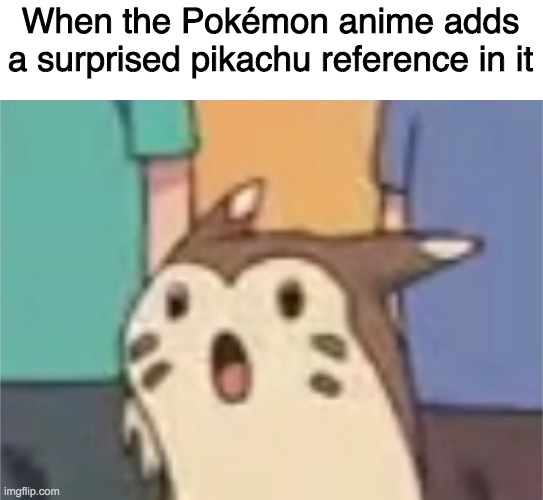They know how to really appeal to us. | When the Pokémon anime adds a surprised pikachu reference in it | image tagged in surprised furret | made w/ Imgflip meme maker