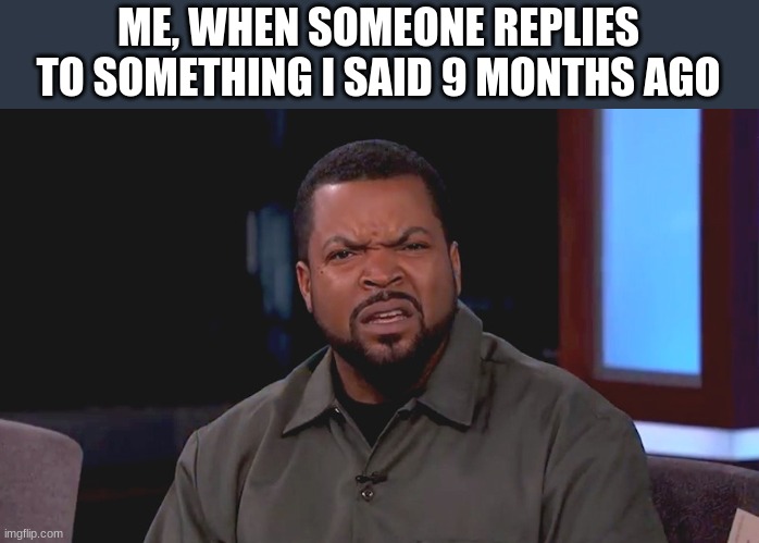 Really? Ice Cube | ME, WHEN SOMEONE REPLIES TO SOMETHING I SAID 9 MONTHS AGO | image tagged in really ice cube | made w/ Imgflip meme maker