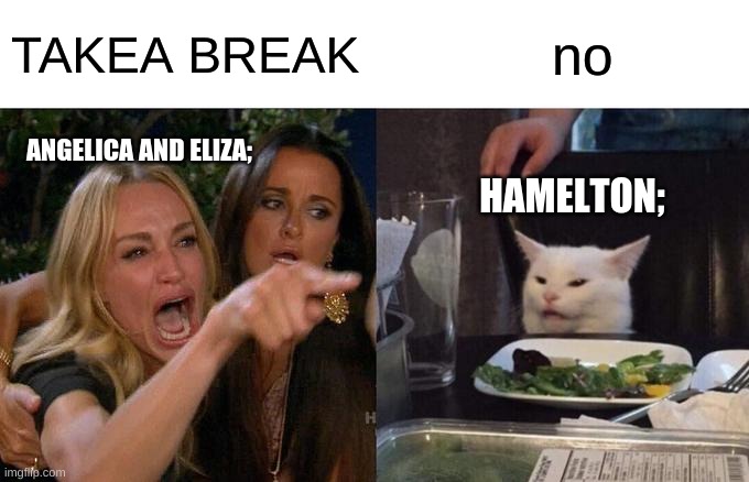 TAKE A BREAKKKKKKK | TAKEA BREAK; no; ANGELICA AND ELIZA;; HAMELTON; | image tagged in memes,woman yelling at cat | made w/ Imgflip meme maker