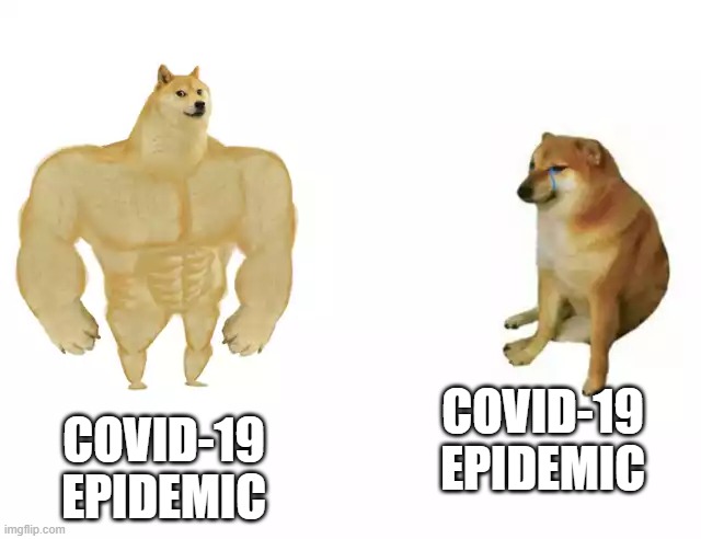 Buff Doge vs. Cheems | COVID-19 EPIDEMIC; COVID-19 EPIDEMIC | image tagged in buff doge vs cheems | made w/ Imgflip meme maker