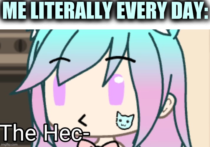 Disclaimer: NOT MINE THIS WAS SCREENSHOTTED FROM A VID | ME LITERALLY EVERY DAY: | made w/ Imgflip meme maker