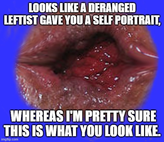 LOOKS LIKE A DERANGED LEFTIST GAVE YOU A SELF PORTRAIT, WHEREAS I'M PRETTY SURE THIS IS WHAT YOU LOOK LIKE. | made w/ Imgflip meme maker