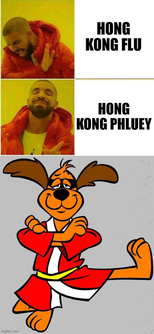 You don't get to name things anymore | HONG KONG FLU; HONG KONG PHLUEY | image tagged in drake hotline approves,hong kong phooey,coronavirus | made w/ Imgflip meme maker