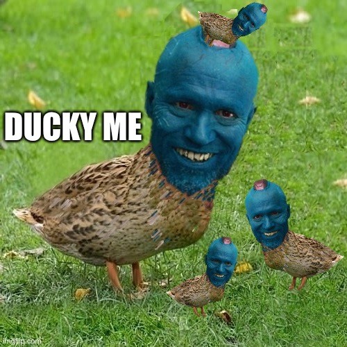 Ducks | DUCKY ME | image tagged in yondu duck family | made w/ Imgflip meme maker