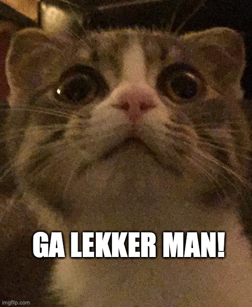 ga lekker man! | GA LEKKER MAN! | image tagged in funny,too damn high | made w/ Imgflip meme maker